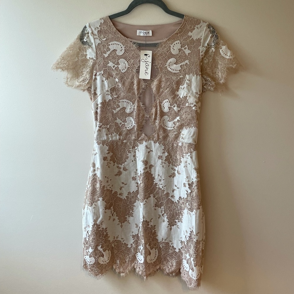 NWT LACE DRESS (MEDIUM)